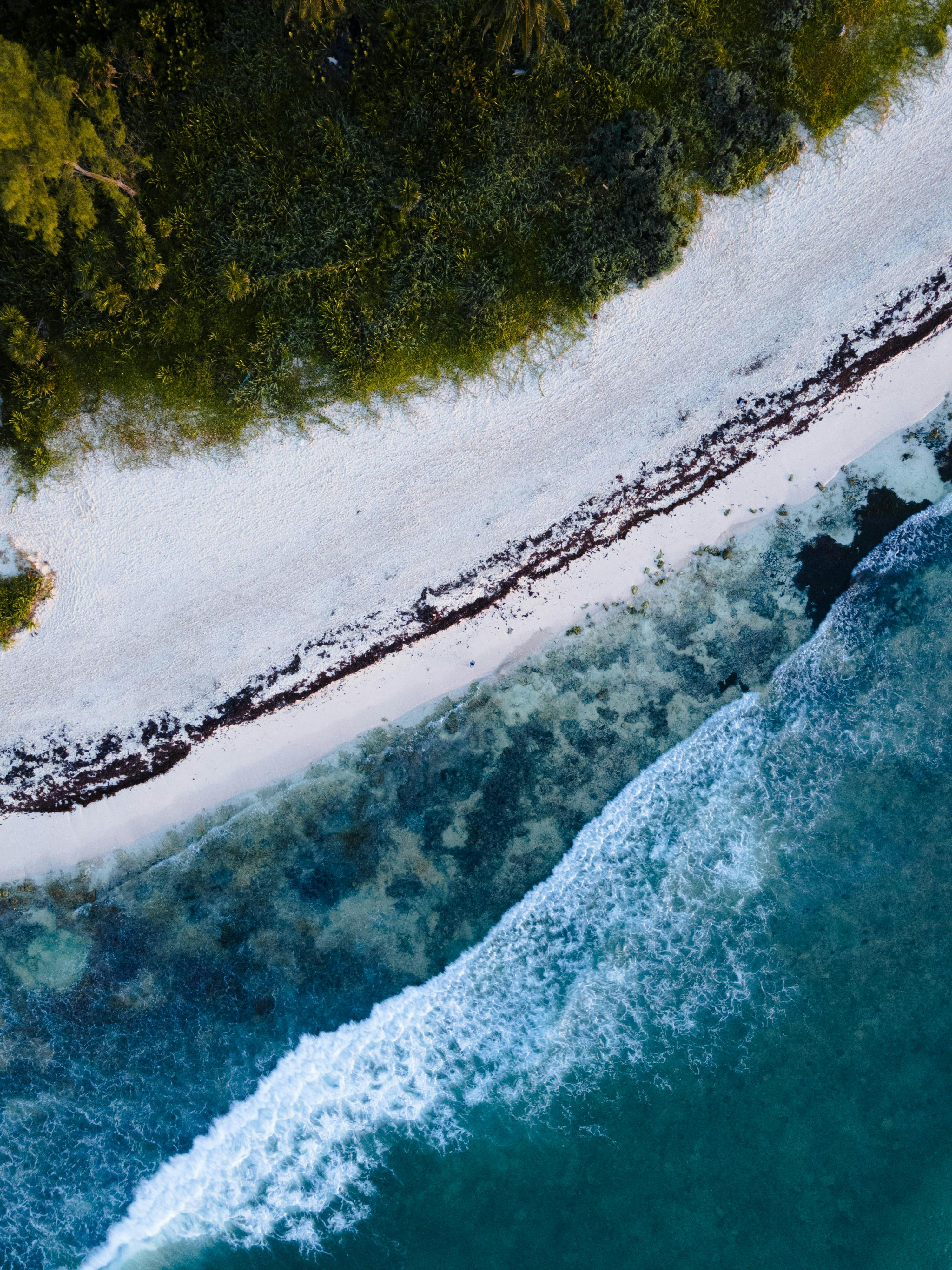 Sea Moss Gel Benefits for Skin: Enhancing Glow and Vitality